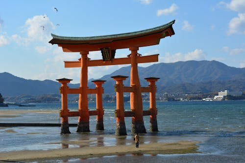 Free Itsukushima Shrine near Body of Water Stock Photo