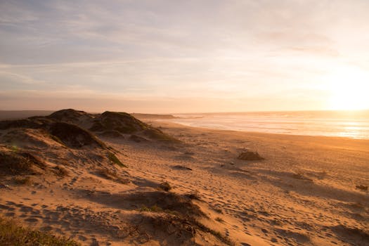 Golden sunset view over sandy beach and dunes, tranquil ocean horizon.