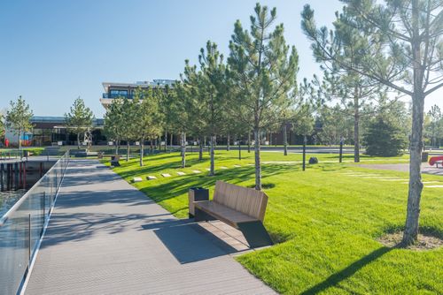 Free A serene view of a sunny park with benches, footpath, and lush greenery. Stock Photo