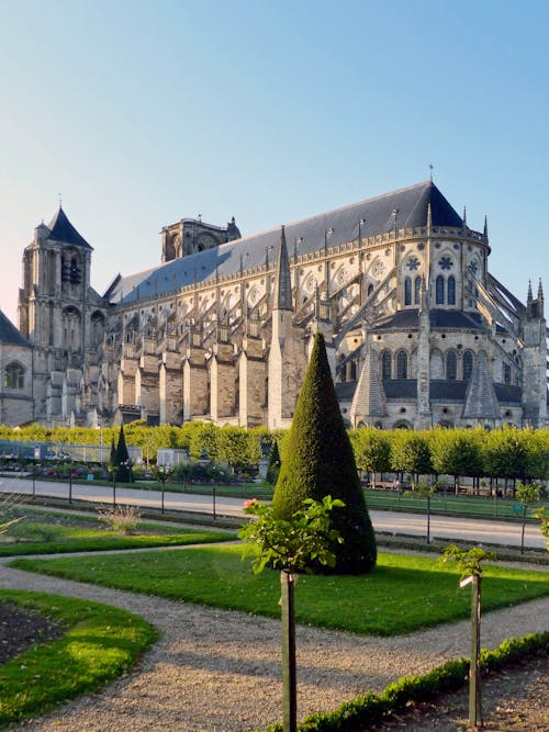 Foto profissional grátis de ancião, árvores, bourges