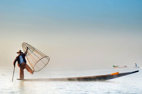 Δωρεάν στοκ φωτογραφιών με Surf, ακτή, αλιεία