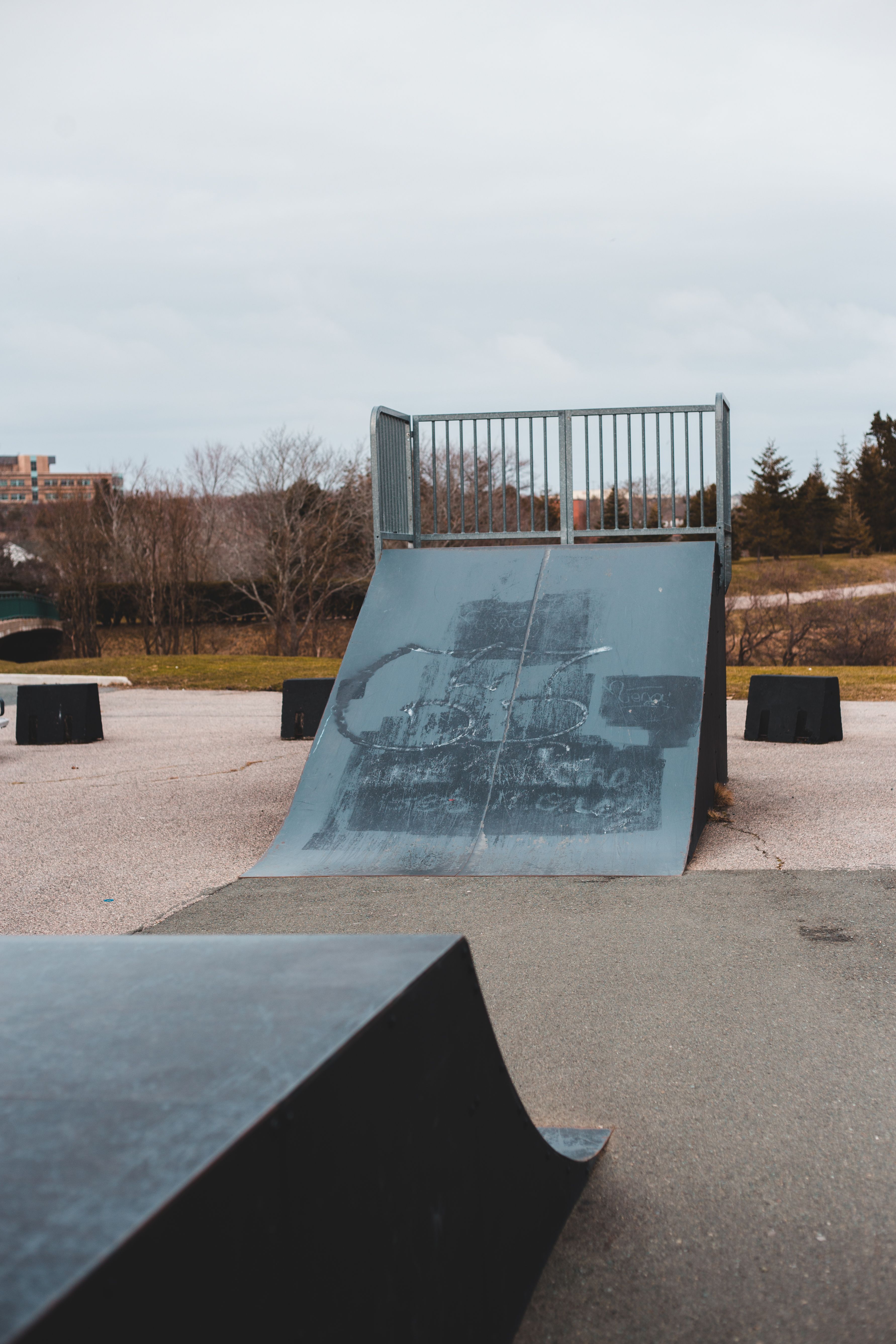 Empty ramp near asphalt road in skatepark near trees and grass under cloudy gray sky in daytime