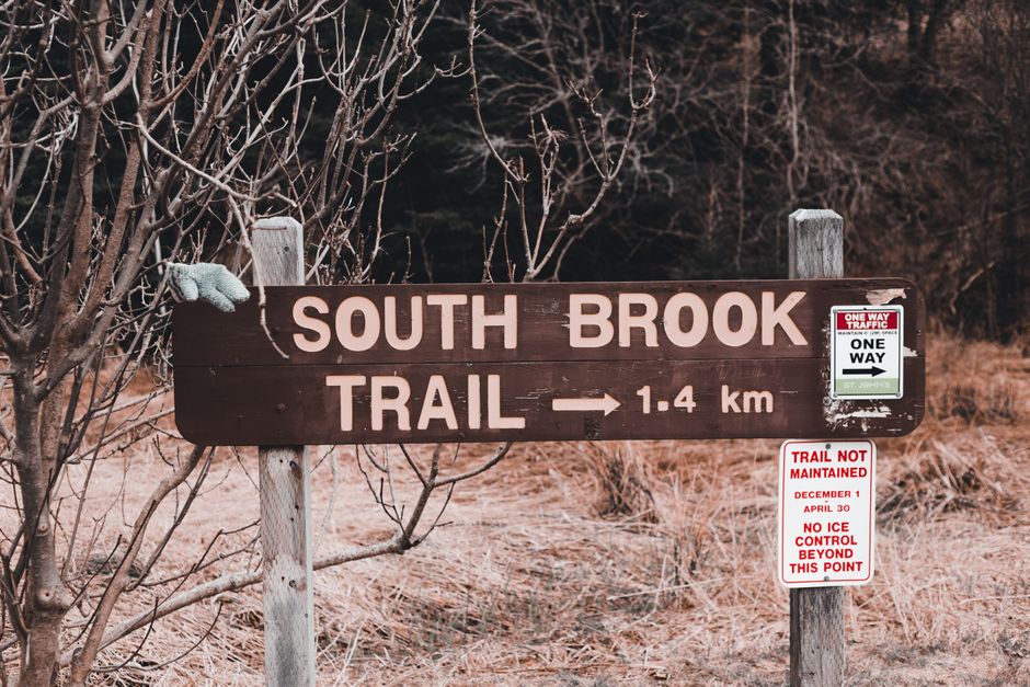 hiking trail signpost crossroads forest