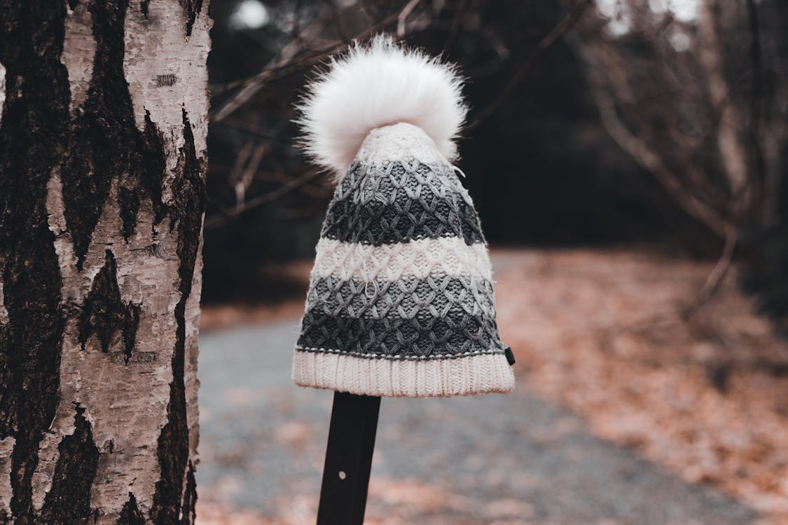 Free Lost and found warm knitted hat placed on metal beam near tree trunk and path with fallen dry leaves in autumn park in daytime Stock Photo