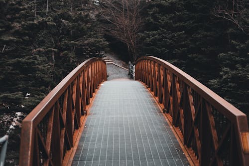 Bridge with railing near trees in countryside