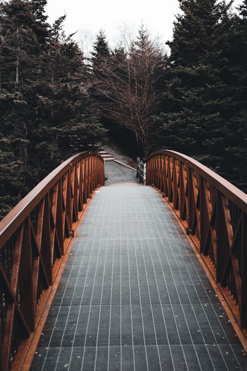 Bridge with railing near trees in countryside