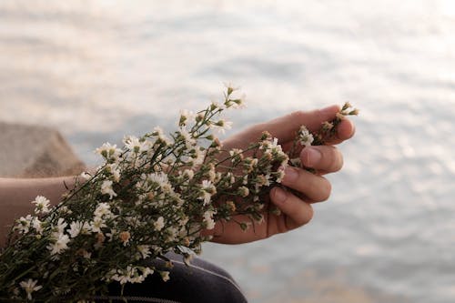 Person Holding a Bunch of Flowers with Green Stems