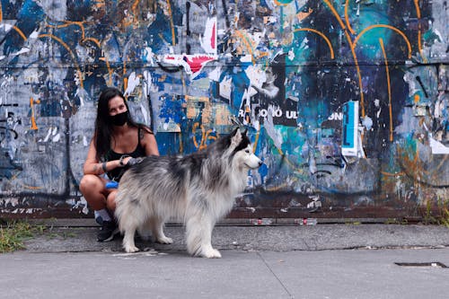 Free Photo of a Woman Sitting Next to Her Siberian Husky Pet Stock Photo