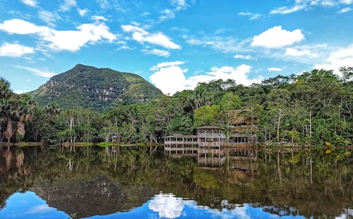 Scenic View of a Placid Lake Across the Green Trees and Mountain under Blue Sky