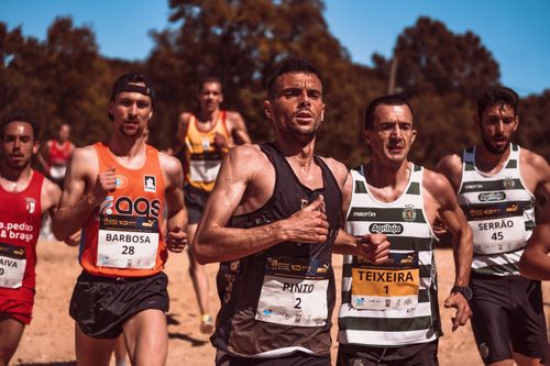 Free Group of male athletes competing in an outdoor marathon, showcasing determination and endurance. Stock Photo