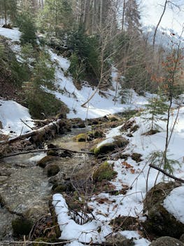 A tranquil winter stream flowing through a snow-covered forest, surrounded by trees and rocks.