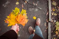 手握生机勃勃的秋叶，走在平坦的路上，捕捉秋天的本质