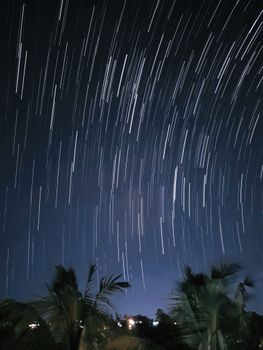 Long exposure of star trails over palm trees in a clear night sky, showcasing celestial movement and natural beauty.