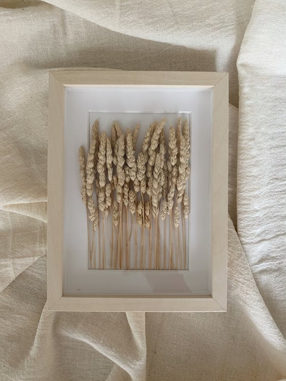 Free Dried Flowers in Picture Frame Stock Photo