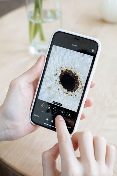 Free Hands using a smartphone to edit a white flower image with editing tools displayed. Stock Photo