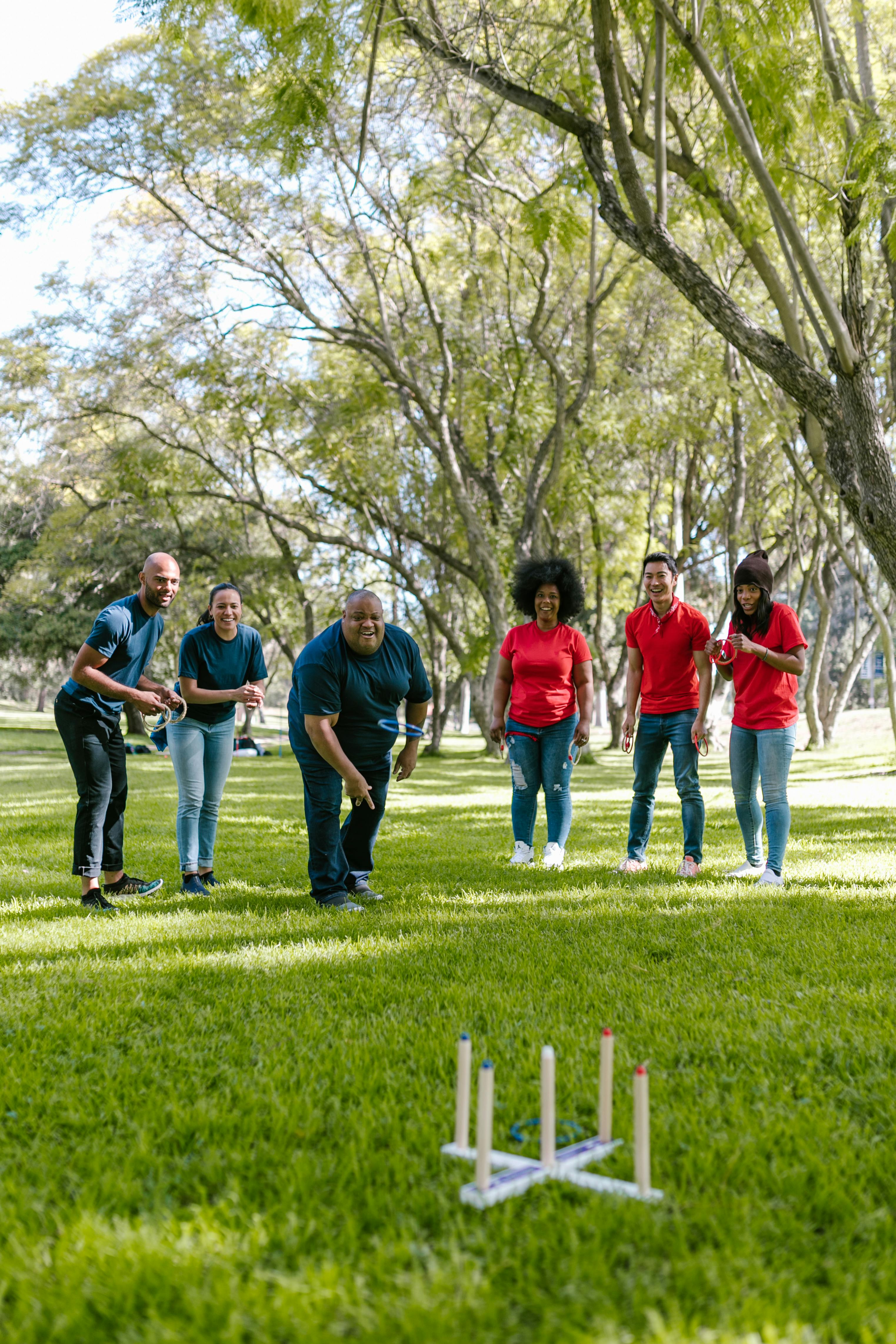 A diverse group of adults playing a fun ring toss game in a sunny park, showcasing teamwork and enjoyment.