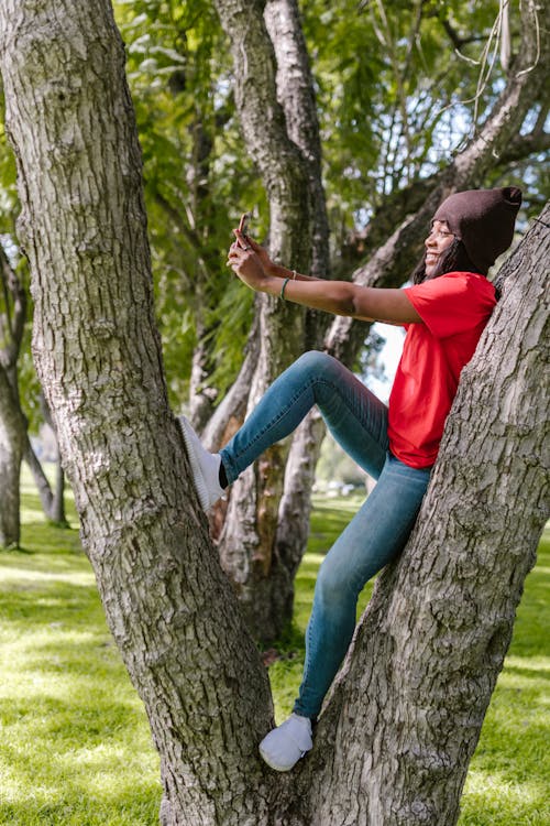 Immagine gratuita di adulto, albero, attività