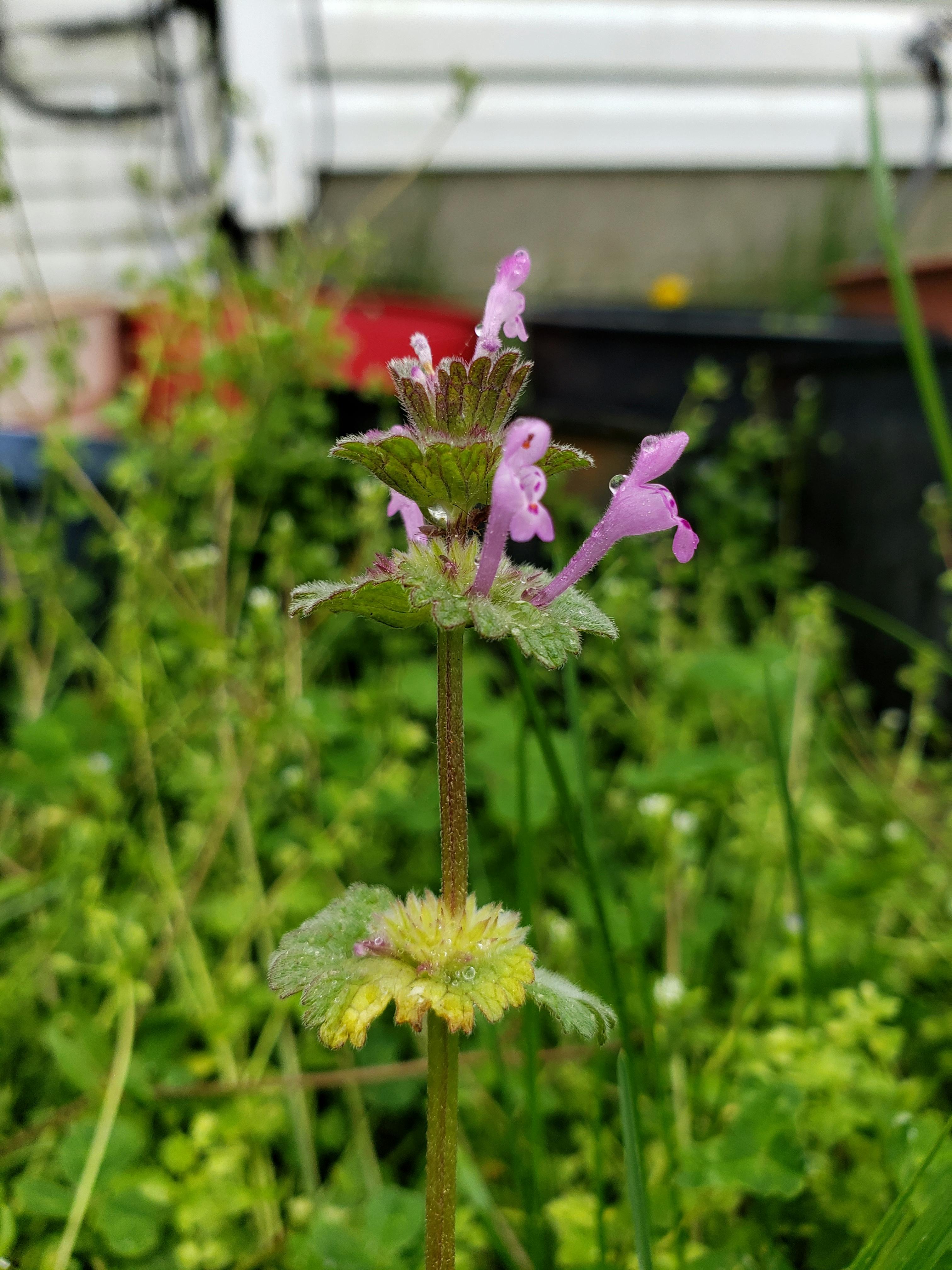 Caregiver spending time with senior woman, showing compassionate care