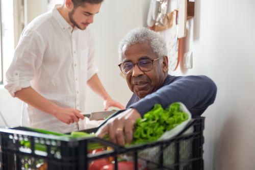 Free A senior man supported by a volunteer with groceries at home. Stock Photo
