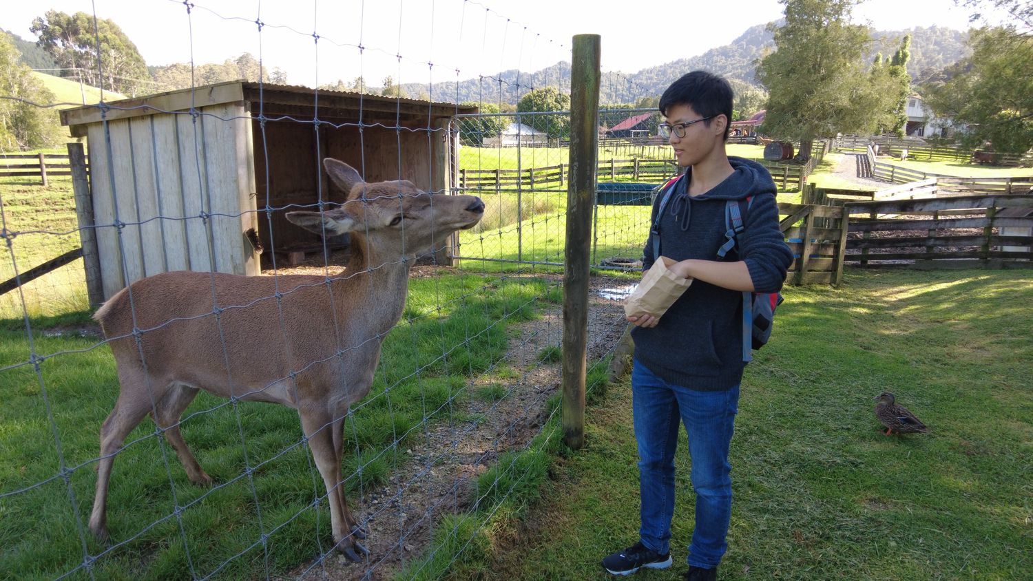 Occupational Therapist near me Perth home visit
