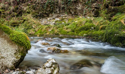 Water Flowing on Rocky River