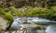 Water Flowing on Rocky River