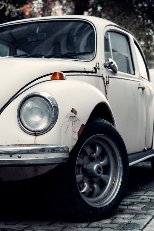 Free Classic white Volkswagen Beetle parked outdoors highlighting its timeless design and rustic charm. Stock Photo