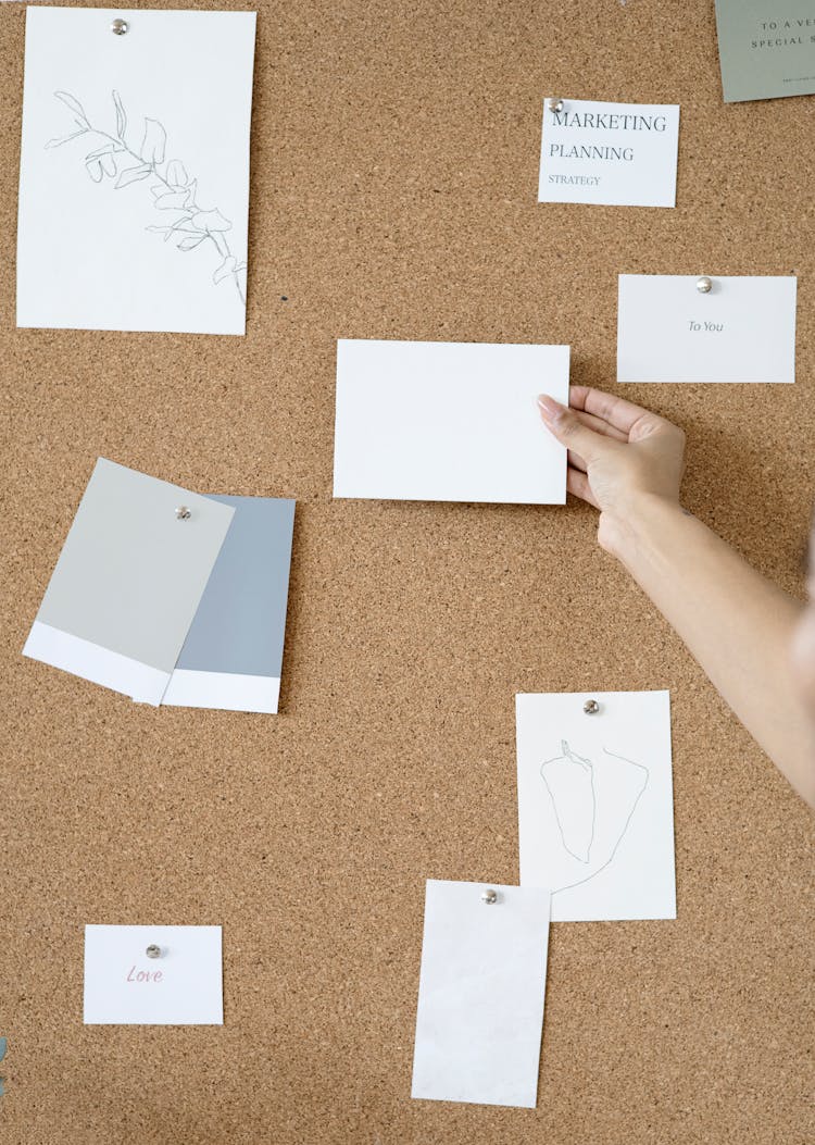 Person Holding White Printer Paper