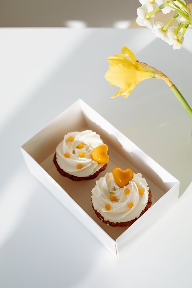 Cupcakes In A Box 