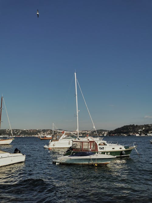 Gratis Immagine gratuita di barche, barche a vela, mare Foto a disposizione