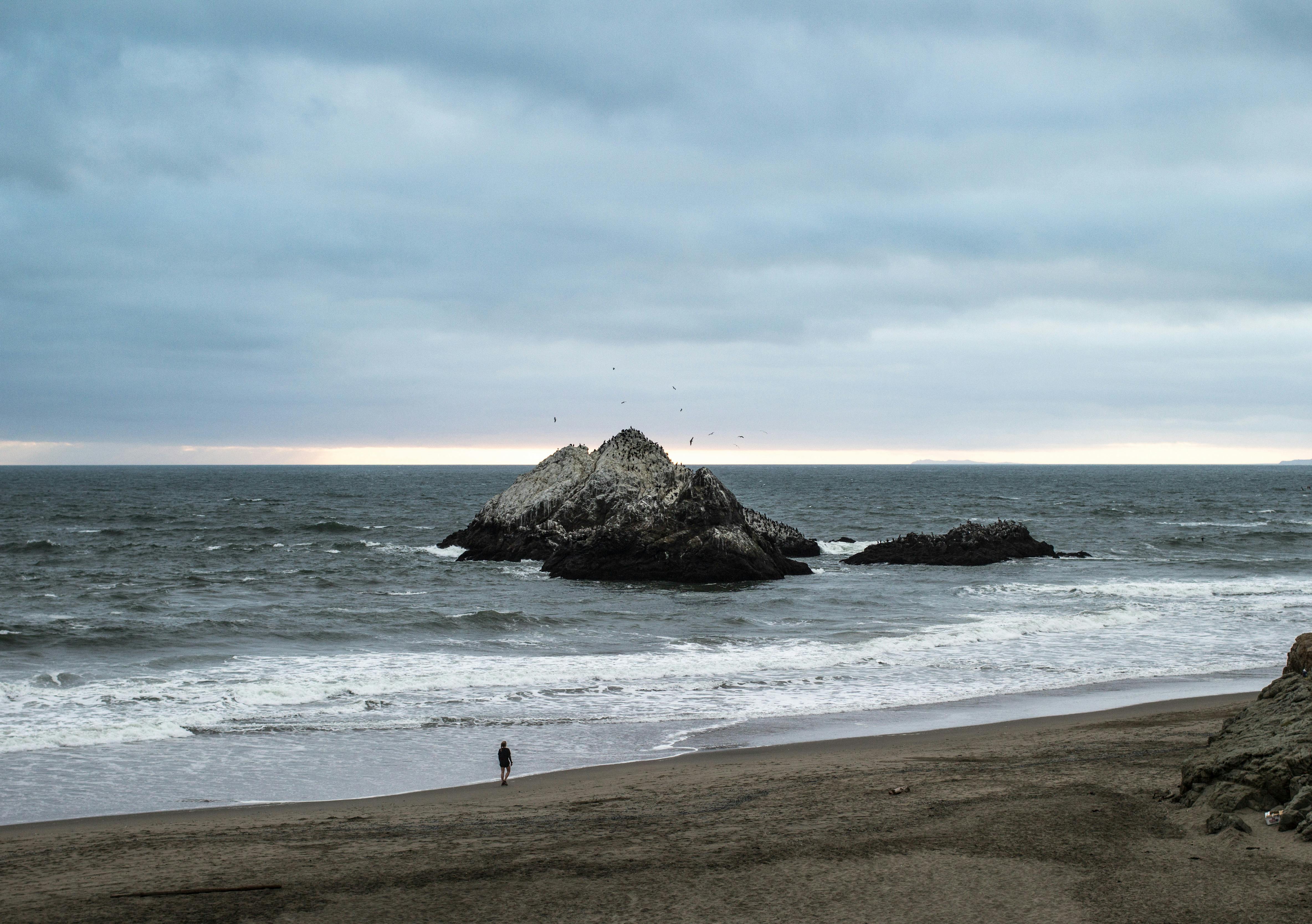 カリフォルニアの海岸 サロバス サンフランシスコの無料の写真素材