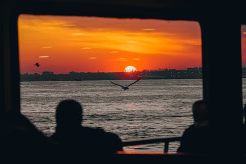 Бесплатное стоковое фото с birds_flying, восход, живописный