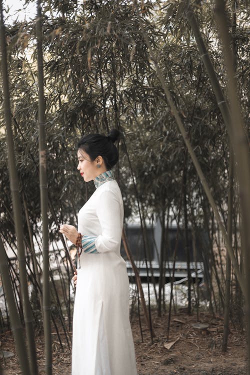 Immagine gratuita di alberi, bellissimo, donna asiatica