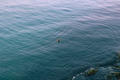 Free From above seascape of clear sea with rippled water surface flowing in nature near small green vegetation on summer day Stock Photo