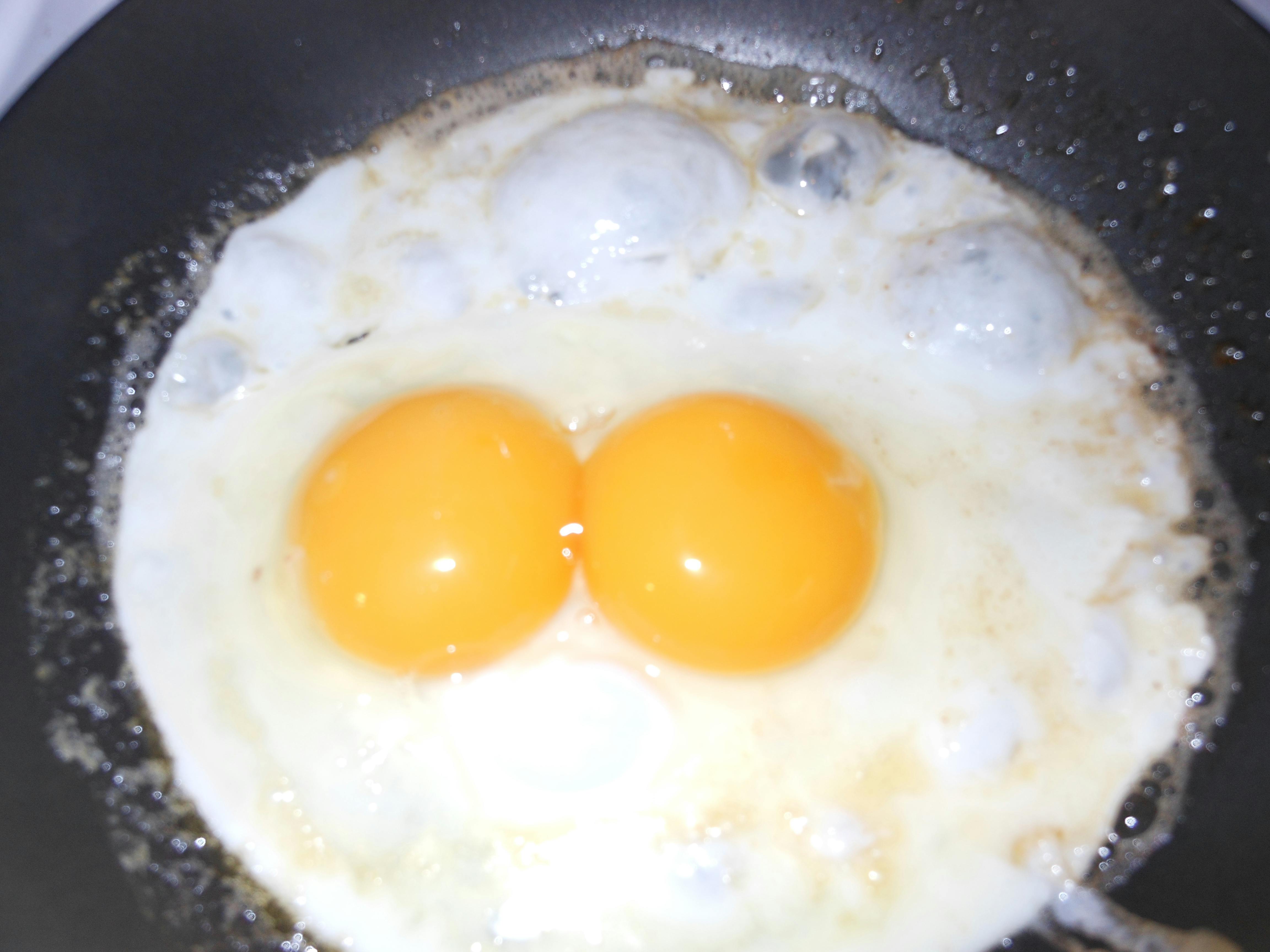 Free stock photo of Double-yolk egg, egg, Sunny side up egg