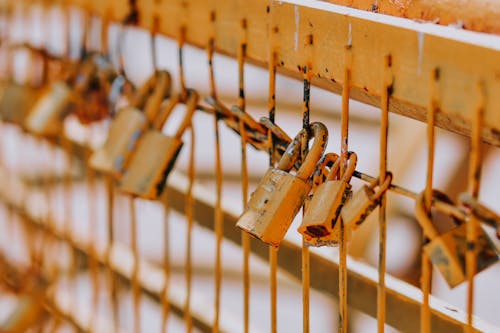 Padlocks on Fence