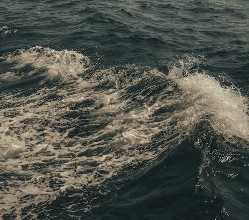 Ingyenes stockfotó hullámok, óceán, szabadban témában Stockfotó