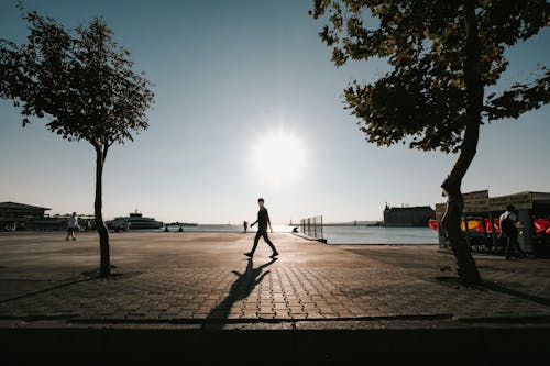 Darmowe zdjęcie z galerii z blask, chodzenie, na dworze