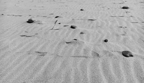 Gratis Fotos de stock gratuitas de arena, blanco y negro, Desierto Foto de stock