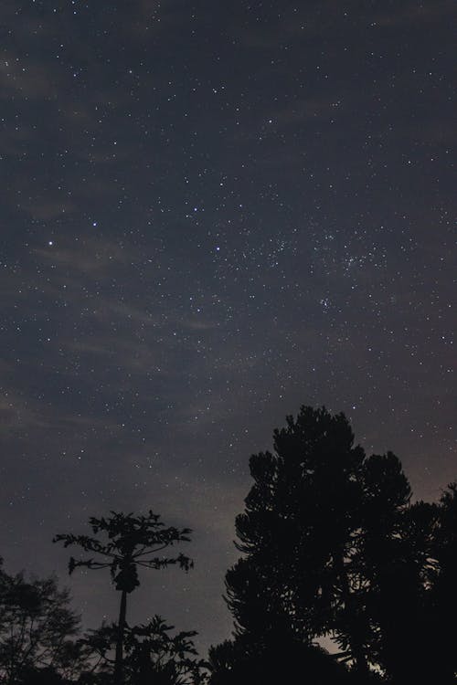 Free stock photo of clouds, night, night sky