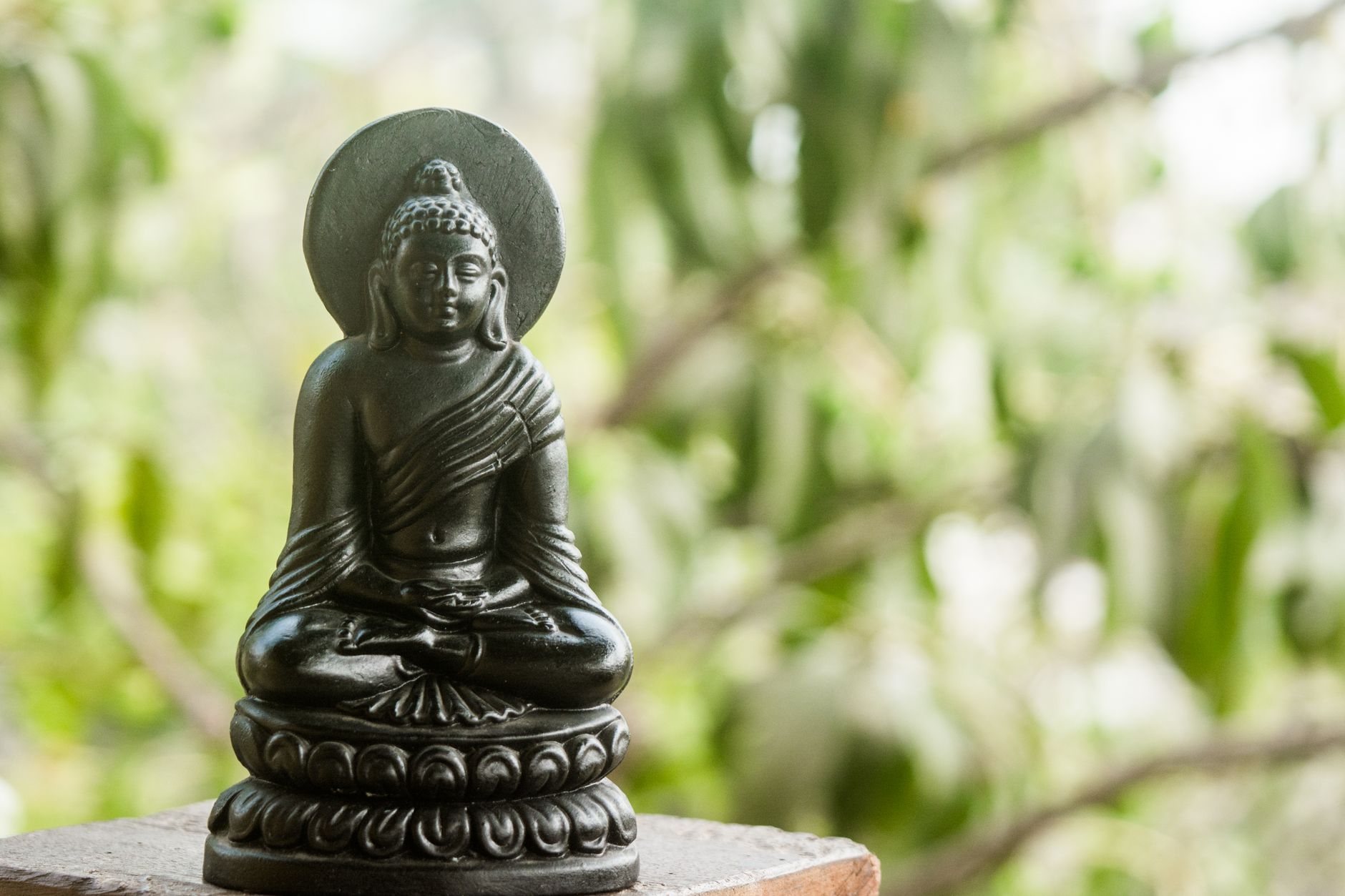 A peaceful Buddha figurine meditating outdoors with a blurred natural background.