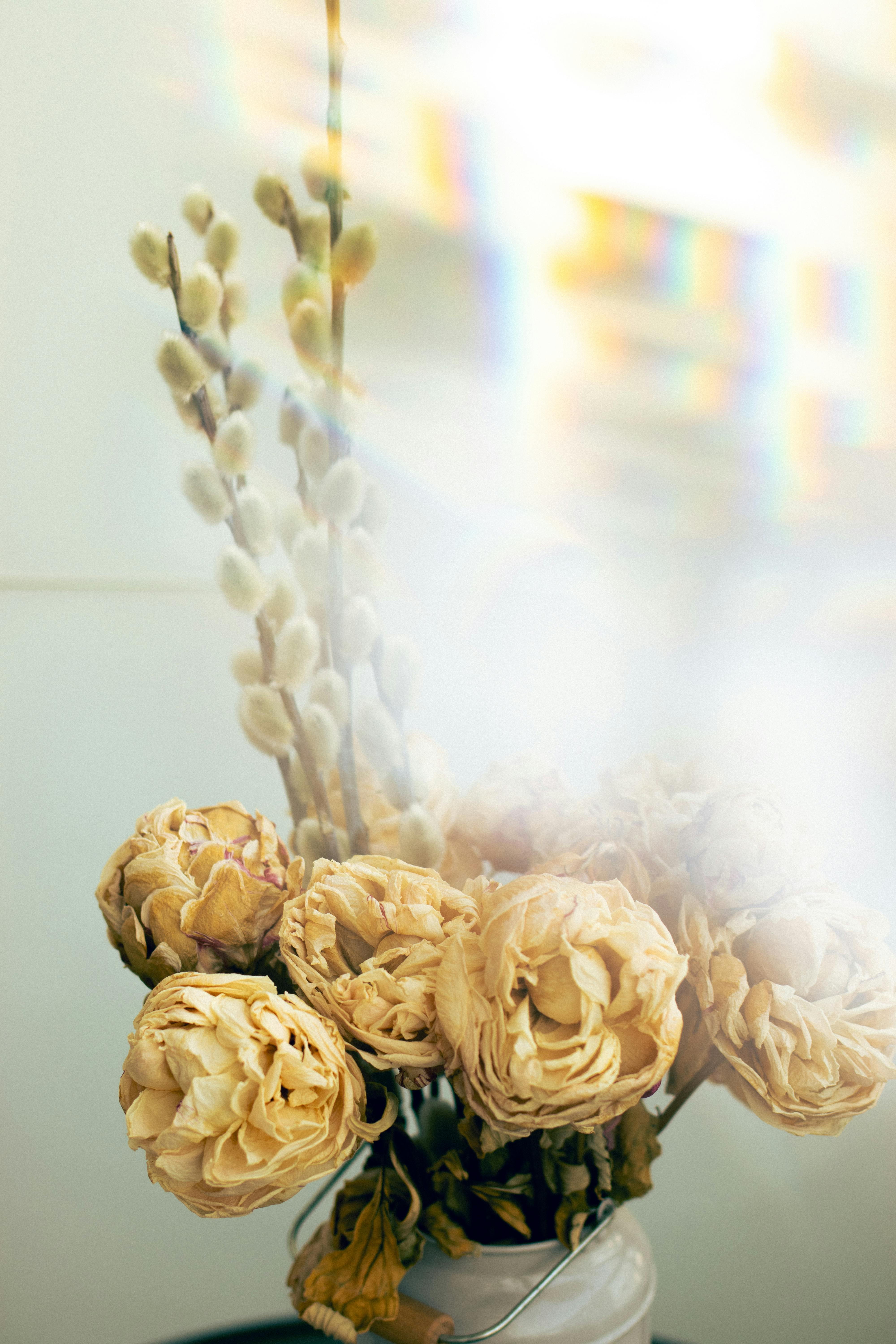 Aesthetic close-up of a dried floral bouquet in soft natural light.