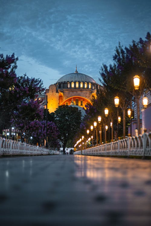 Základová fotografie zdarma na téma architektura, Istanbul, krocan