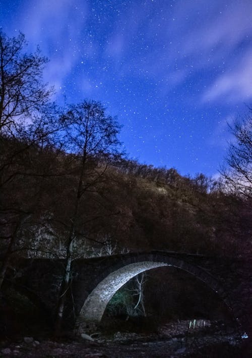 Graue Betonbrücke In Der Nähe Von Bäumen