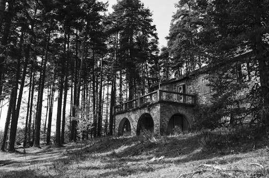 这张黑白照片里，森林中矗立着一座废弃的石屋，四周环绕着高大的松树