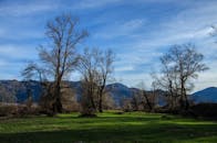 宁静的乡村风光中，白天可见山脉、蓝天和光秃秃的树木