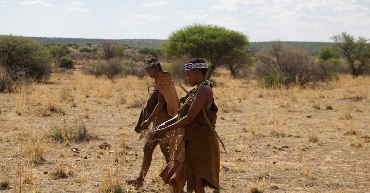 early humans