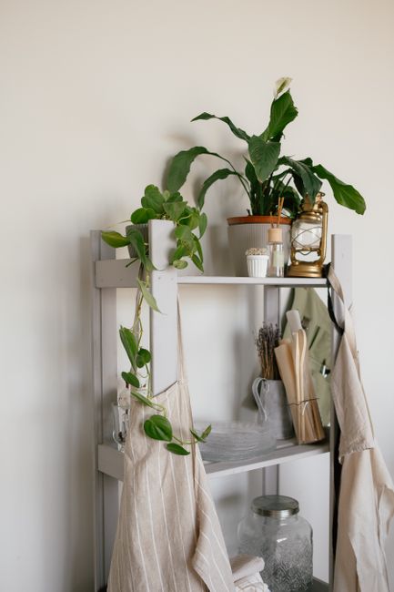 Elegant shelving with potted plants and decor in a minimalist home setting.
