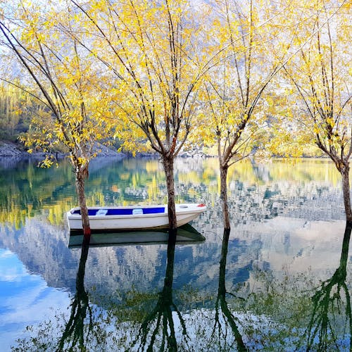 Fotografía De Barco De Madera Blanco Y Azul Sobre El Agua