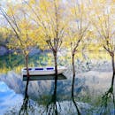 秋天，树下的小船倒映在平静湖面上，景象宁静